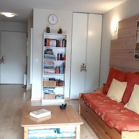 Le 102, T3 Pour 5 Personnes, Vue Montagne, Classe 2 Etoiles Nf, Parking, Piscine En Ete Bagnères-de-Luchon エクステリア 写真