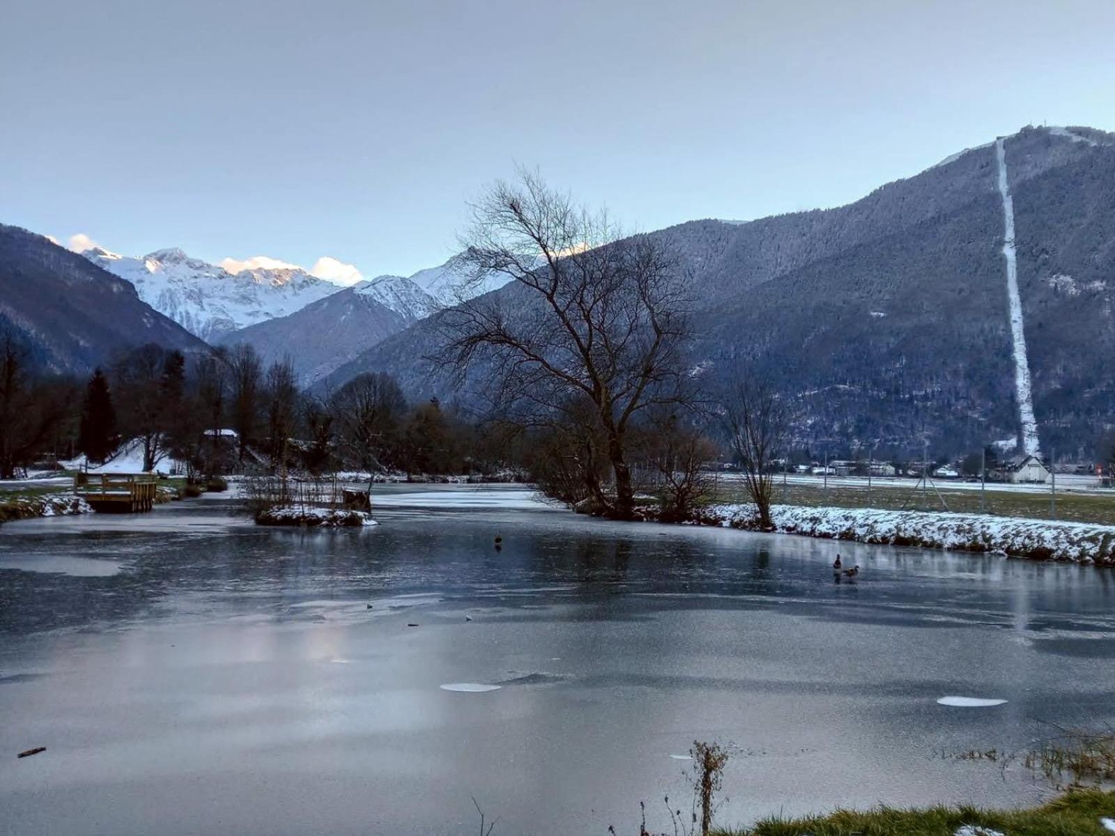 Le 102, T3 Pour 5 Personnes, Vue Montagne, Classe 2 Etoiles Nf, Parking, Piscine En Ete Bagnères-de-Luchon エクステリア 写真