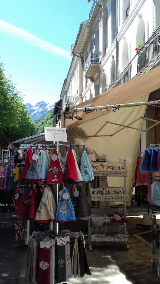 Le 102, T3 Pour 5 Personnes, Vue Montagne, Classe 2 Etoiles Nf, Parking, Piscine En Ete Bagnères-de-Luchon エクステリア 写真