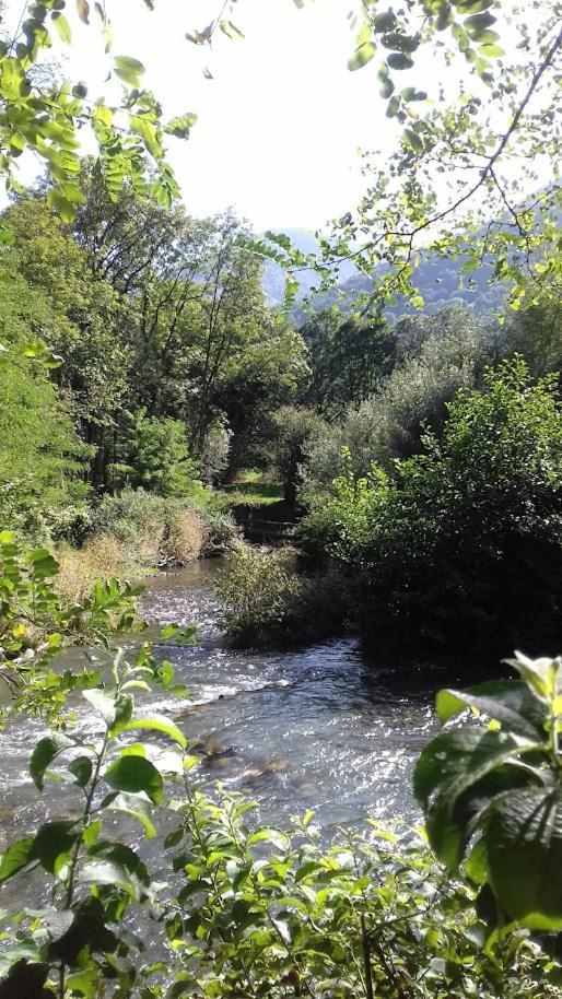 Le 102, T3 Pour 5 Personnes, Vue Montagne, Classe 2 Etoiles Nf, Parking, Piscine En Ete Bagnères-de-Luchon エクステリア 写真