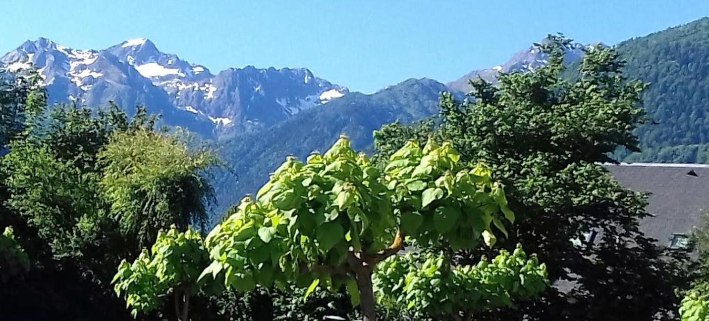 Le 102, T3 Pour 5 Personnes, Vue Montagne, Classe 2 Etoiles Nf, Parking, Piscine En Ete Bagnères-de-Luchon エクステリア 写真